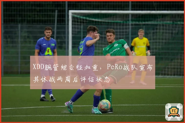 XDD腕管综合征加重，PeRo战队宣布其休战两周后评估状态