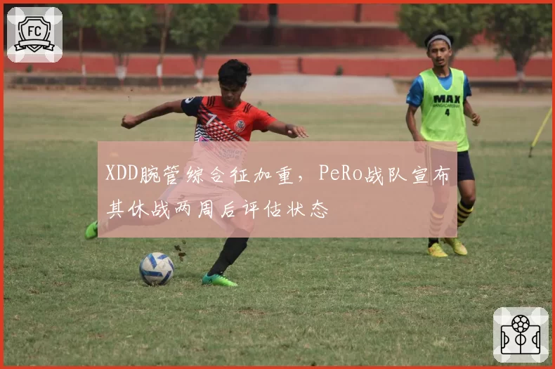 XDD腕管综合征加重，PeRo战队宣布其休战两周后评估状态