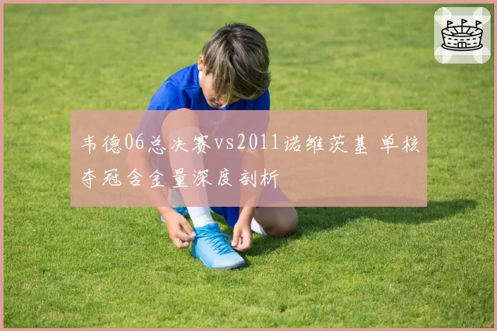 韦德06总决赛vs2011诺维茨基 单核夺冠含金量深度剖析