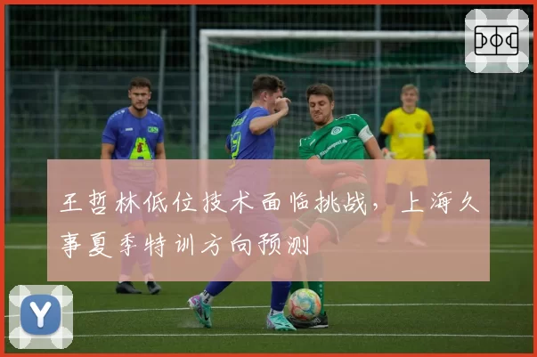 王哲林低位技术面临挑战，上海久事夏季特训方向预测