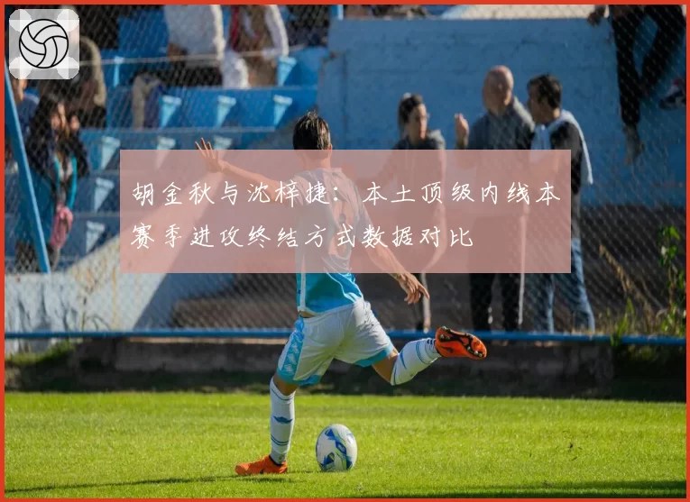 胡金秋与沈梓捷：本土顶级内线本赛季进攻终结方式数据对比