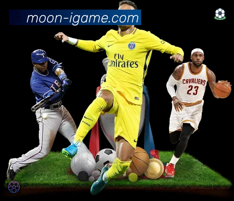 热门推荐与专题