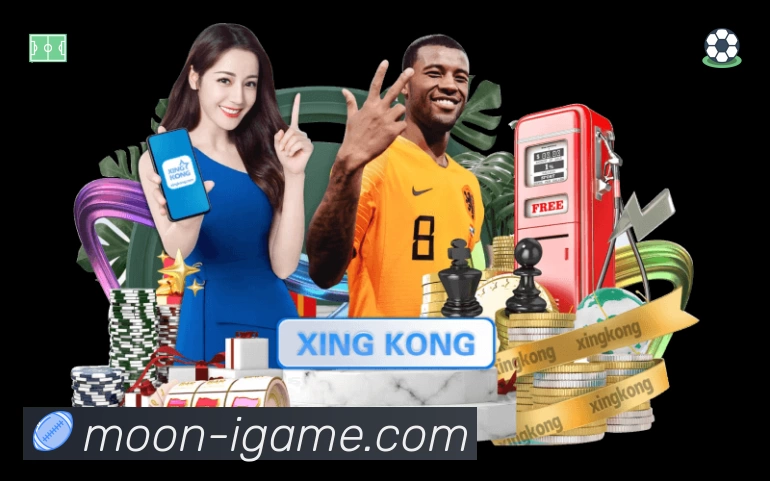 体育平台欢迎图